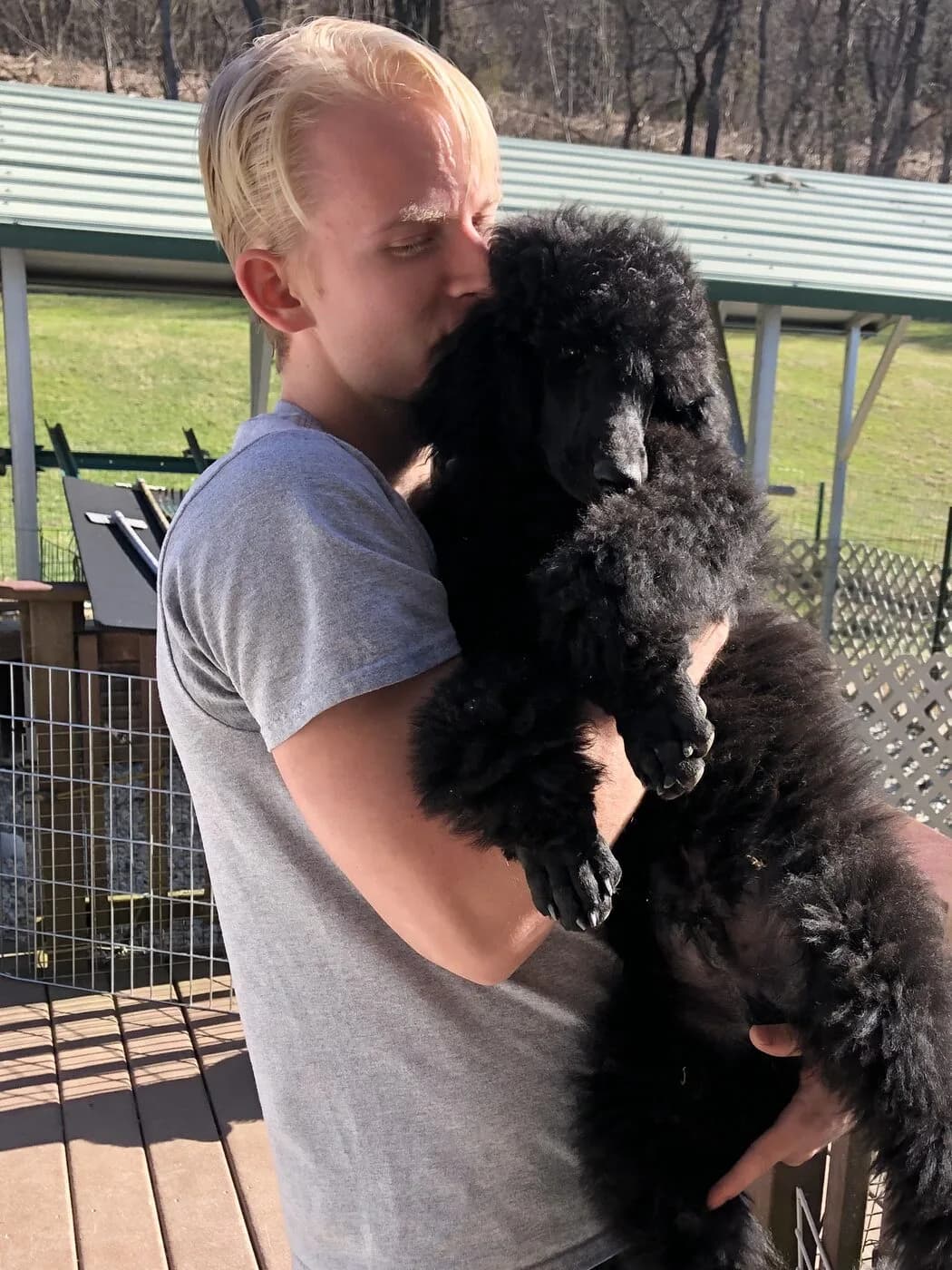 The founder and his standard poodle — the dog behind the No Bark origin story