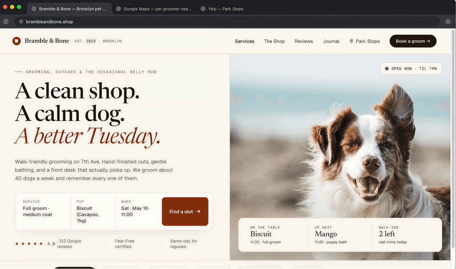 Premium pet-care website mockup with local search, service pages, reviews, and booking call to action